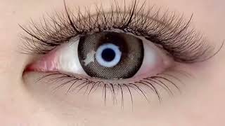 3D/4D/5D/6D Eyelashes Short Stem Pre Made Fans Silk Soft Lash screenshot 5