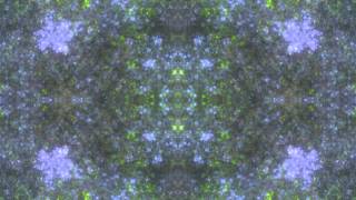 phrozenlight - crystal dome