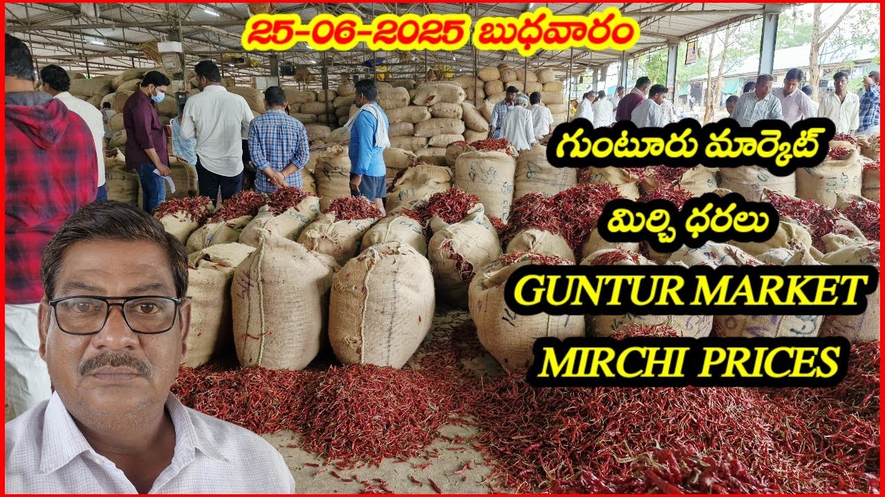 GUNTUR MIRCHI RATES|గుంటూరు మిర్చి ధరలు|TODAY MIRCHI RATES|CHILLI|MIRCHI|గుంటూరు మిర్చి|25/06/2025