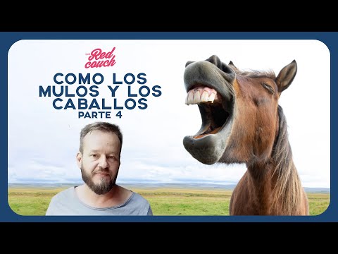 Como los mulos y los caballos, parte 4