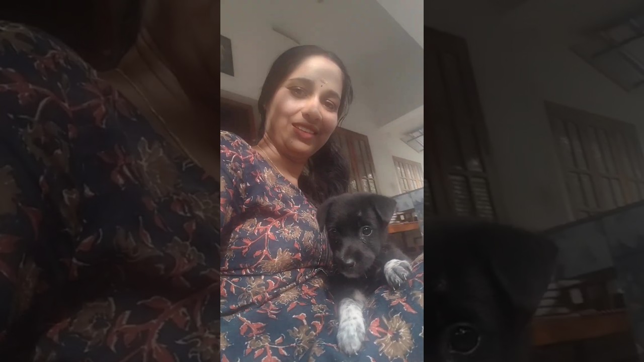 എനിക്ക് ലൈക്കില്ലേ 🥰🥰avs vlogs