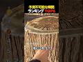 予測不可能な瞬間Top6