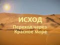 Переход через Красное море - Исход - Франсуа дюПлесси (8011RU)