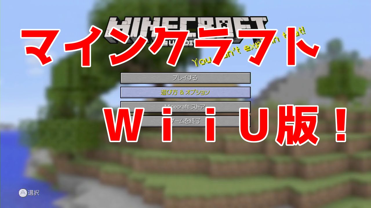Wiiu版マイクラ Wiiu版のマインクラフトを体験してみた アナぐらしのドラエッティー Part0 Youtube