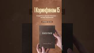 Духовное вдохновение из 1 Коринфянам 15 #Христианство #Библия