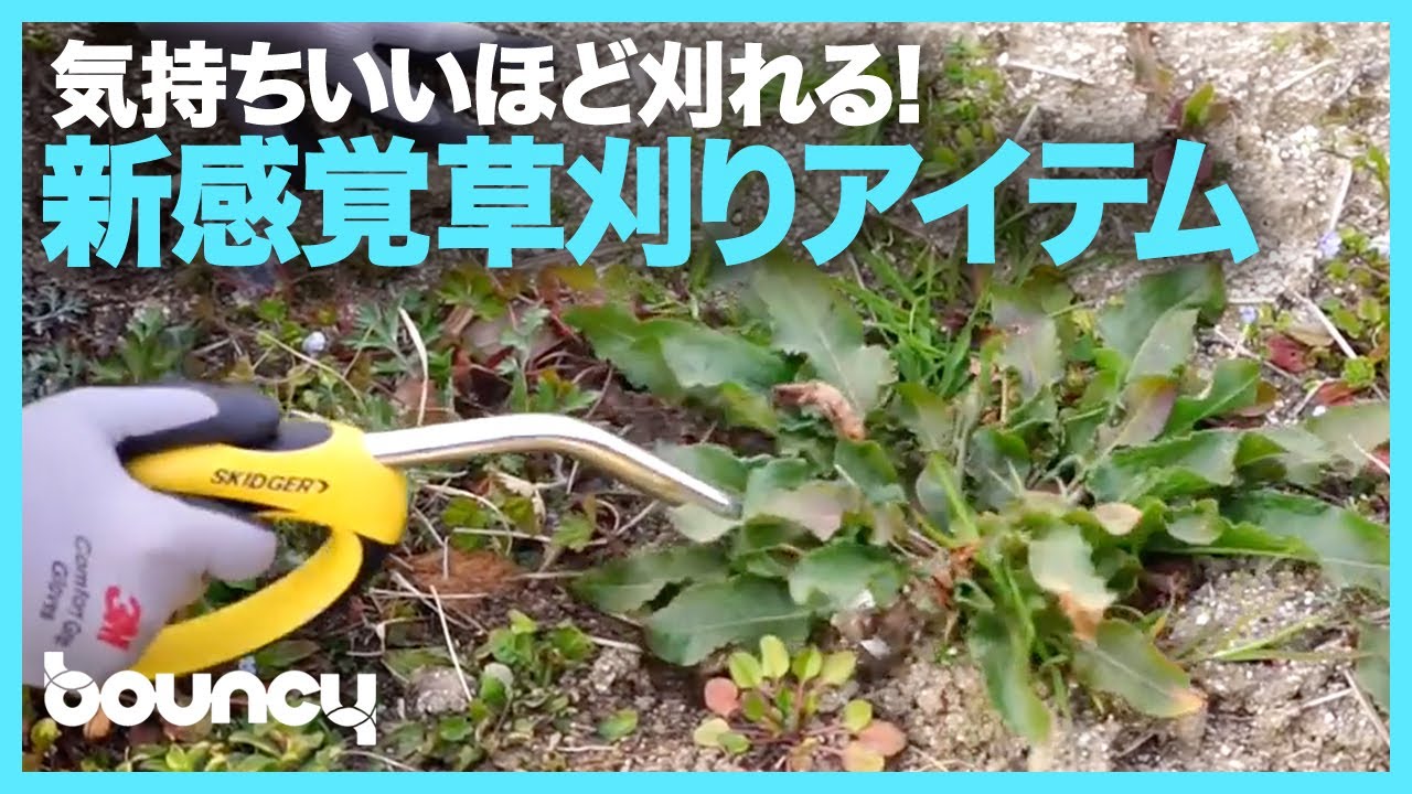 スキッジャー☆立ったままラクラク 手早く刈れる除草ツール 破く