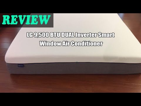 Review LG 9,500