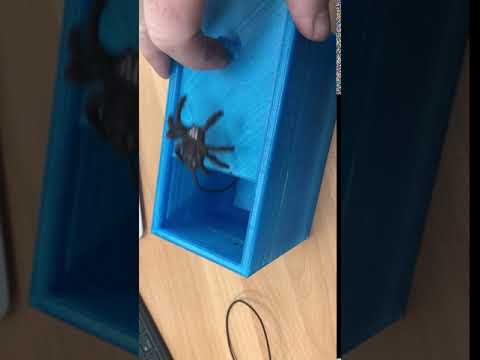 spider-prank-box