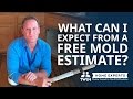 Los Angeles &amp; Phoenix Free Mold Estimates