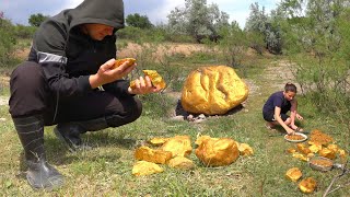 How to find gold nuggets? There is a rich deposit near us!