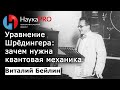 Структура материи 6: уравнение Шрёдингера. Зачем нужна квантовая механика – Виталий Бейлин| Научпоп