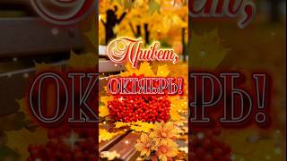 ПРИВЕТ, ОКТЯБРЬ! С ДОБРЫМ УТРОМ! С НОВЫМ ДНЁМ!#сдобрымутром #shortsvideo #пожелания