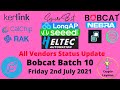 Helium Hotspot All Vendors Update 2nd July 2021 Bobcat Batch 10, LinxDot gets FCC and CE Certs