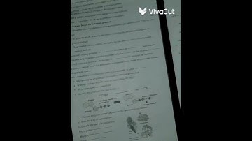 10th class science part 2 board question paper 2023 #shorts #viral #ytshorts #study #eduction #10th