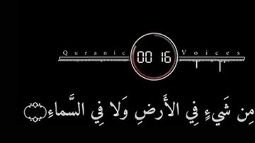 حالات واتس قرآن كريم الشيخ سلمان العتيبي