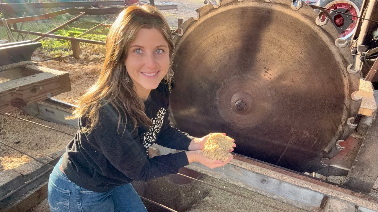 Сможет ли КРУГОВАЯ МЕЛЬНИЦА распилить это ДЛИННОЕ ТОПОЛЕВОЕ БРЕВНО?