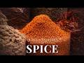 Spices: The Epic History That Changed the World | Deep Sleep