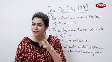 CBSE Class 3 Science : Air, Water and Weather | True or False | Science Activities For Kids