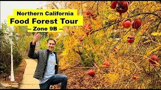 Charles malki, biologist & plant expert for http://ivorganics.com/
tours a backyard fruit tree orchard he personally planted
approximately 10+ years ago in t...