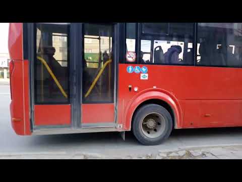 новый паз вектор