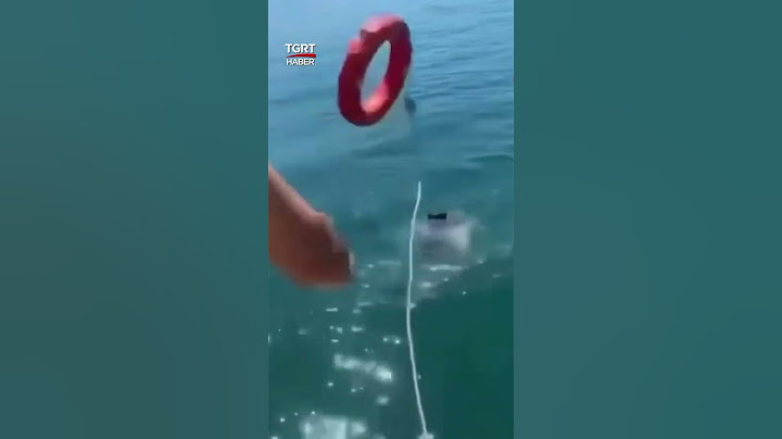 Yürekleri Ağza Getiren Boğulma Tehlikesi! Yüzme Bilmeyen Çocuk Ölümle Burun Buruna Geldi #shorts