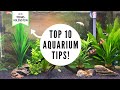 Top 10 aquarium tips wtobias holenstein