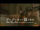 映画「グーグーだって猫である」特報