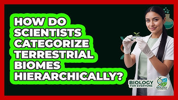 How Do Scientists Categorize Terrestrial Biomes Hierarchically? - Biology For Everyone