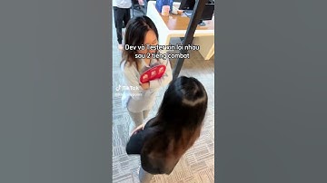 Dev và Test xin lỗi nhau sau 2 tiếng combat