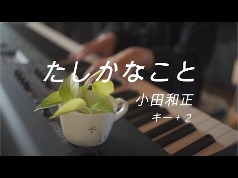 【カラオケ】たしかなこと/小田和正　(女性キー +2)