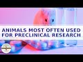 Animal Testing Animal Research for Kids Explainer Video