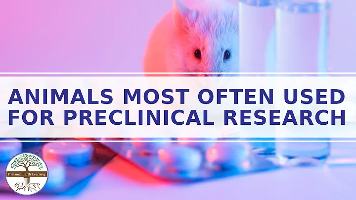 Animal Testing Animal Research for Kids Explainer Video