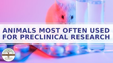Animal Testing Animal Research for Kids Explainer Video