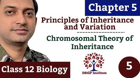 Chromosomal Theory of Inheritance |Chapter 5 | Principles of Inheritance and Variation - 05 Class 12