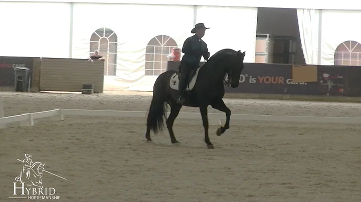 Working Equitation Rancho Andalucia Randy Byers Ja...