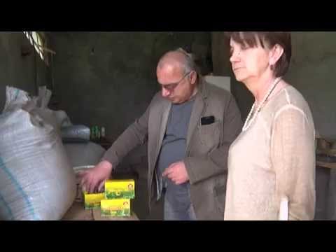 ჩაის გადამამუშავებელი საწარმო წითელმთაში