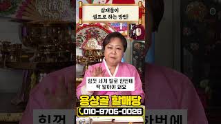 삼재풀이 셀프로 하는 방법! #shorts #삼재 #삼재풀이 #운세
