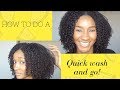 How to do a quick wash n go | NATURAL HAIR 3C