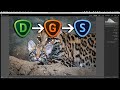 HOW & WHEN to Use Topaz Plugins in Lightroom