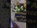 صلوا علي الهادي محمد  mp3