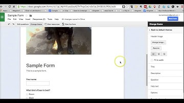 How Customize the Theme for Your Google Forms