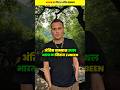 जुबिन गर्ग का श्रद्धांजलि स्थल आसाम में बनाया जा रहा है । #zubeengarg #indian #singer #shorts
