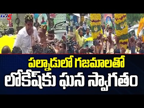 Nara Lokesh Gets Grand Welcome From TDP Supporters in Palnadu  | TV5 News Digital - TV5NEWS