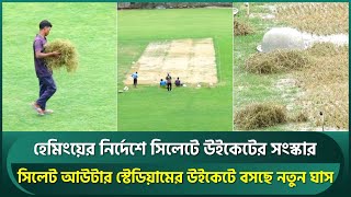 Download Lagu টনি হেমিংয়ের জাদুতে এবার বদলে যাচ্ছে সিলেটের আউটার মাঠ, নতুন ঘাস বসছে উইকেটে | Tony Hemming | Sylhet MP3 Download Lagu টনি হেমিংয়ের জাদুতে এবার বদলে যাচ্ছে সিলেটের আউটার মাঠ, নতুন ঘাস বসছে উইকেটে | Tony Hemming | Sylhet MP3