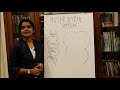 DEVELOPMENT OF THE INTER-ATRIAL SEPTUM-HUMAN EMBRYOLOGY - DR ROSE JOSE