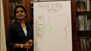 DEVELOPMENT OF THE INTER-ATRIAL SEPTUM-HUMAN EMBRYOLOGY - DR ROSE JOSE MD DNB MNAMS
