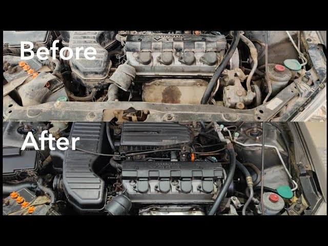 Does Gunk Engine degreaser work? Let's find out! #trending #review