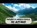 Пойдём со мной в поход по Алтаю!