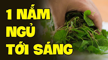 Mất Ngủ Vì Lo Âu Muộn Phiền Thì Dùng Ngay Cách Này - Ngủ Ngon Hết Lo Lắng | Sức Khoẻ Đời Sống HYT3