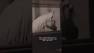 حالات واتس اب الخيل